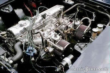 71 z Carbs