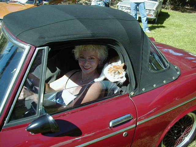Roadster Kitty!
