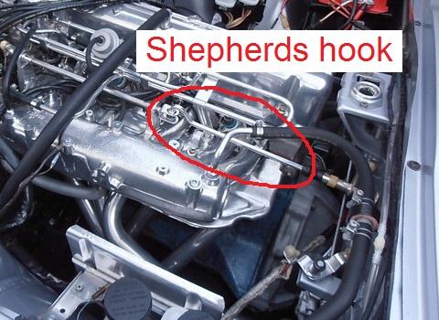 shepards.jpg