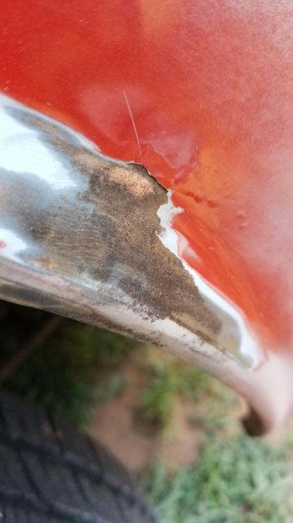 20180825_095208.jpg