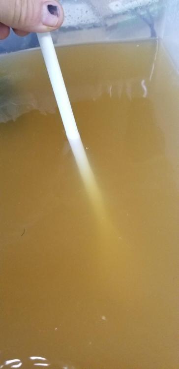 20180915_102212.jpg