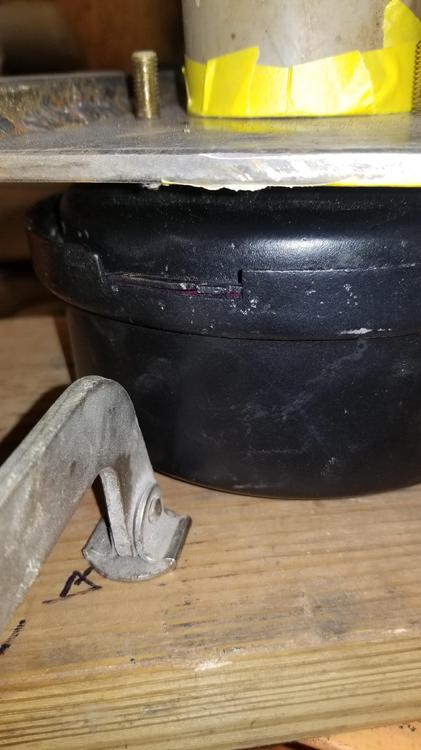 20190309_145028.jpg