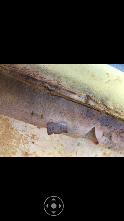 00737B5D-810C-4D5C-9CF9-25548B4AB79A.png