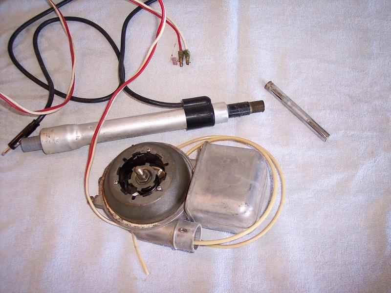 Ant-03.jpg