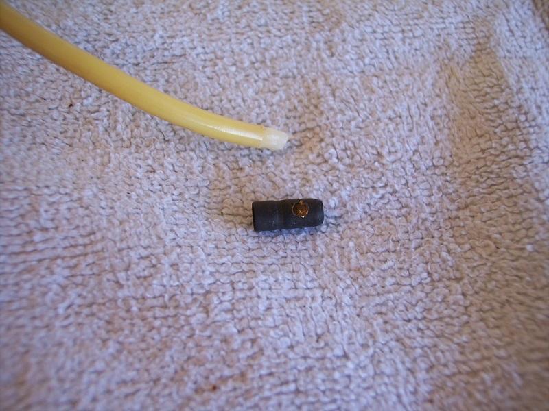 Ant-07.jpg