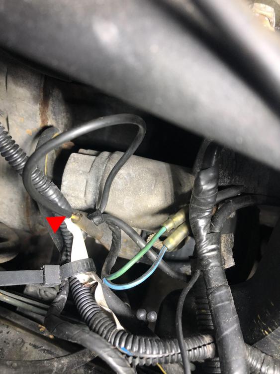 loose Yellow & Red wire.JPG