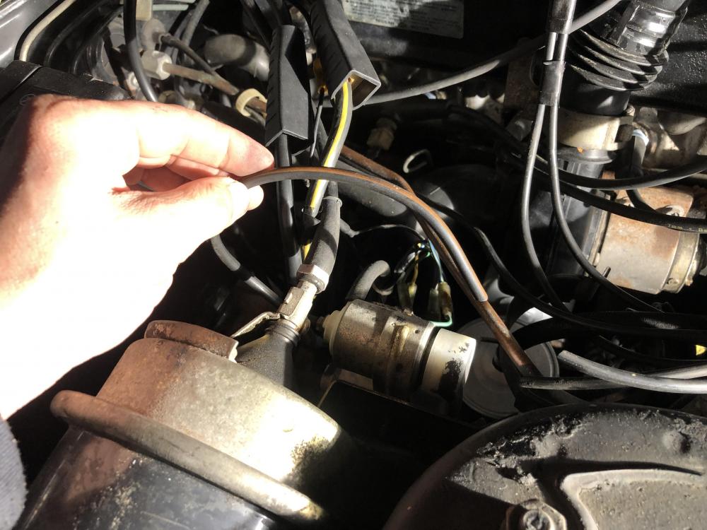 cut wires 03.JPG