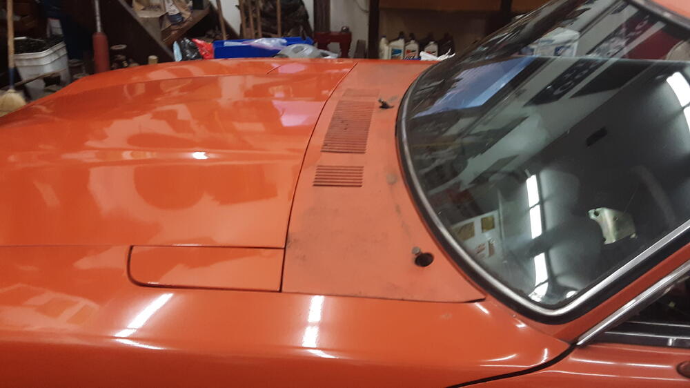 car home polish.jpg