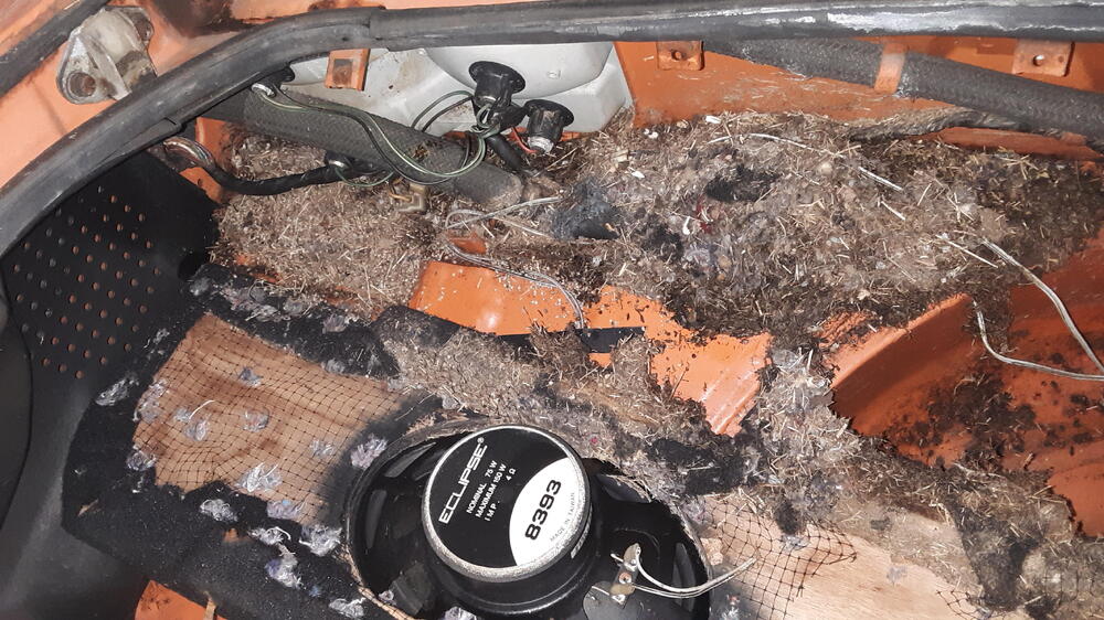 fou homemade speaker box nest.jpg