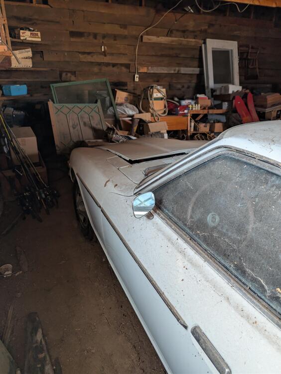 Car - TM-JM CA 530FXO 1972 Datsun 240Z Drivers door.jpg