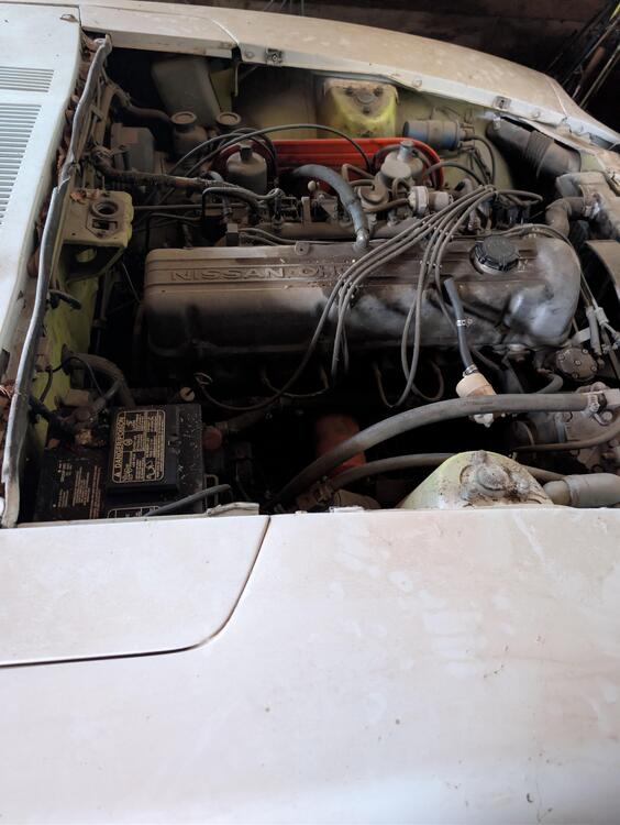 Car - TM-JM CA 530FXO 1972 Datsun 240Z Engine drivers side.jpg