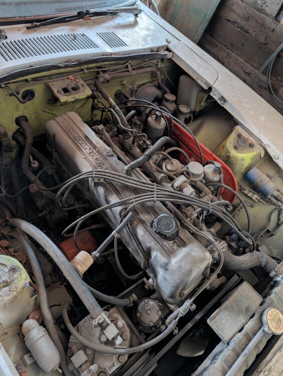Car - TM-JM CA 530FXO 1972 Datsun 240Z engine passenger side.jpg