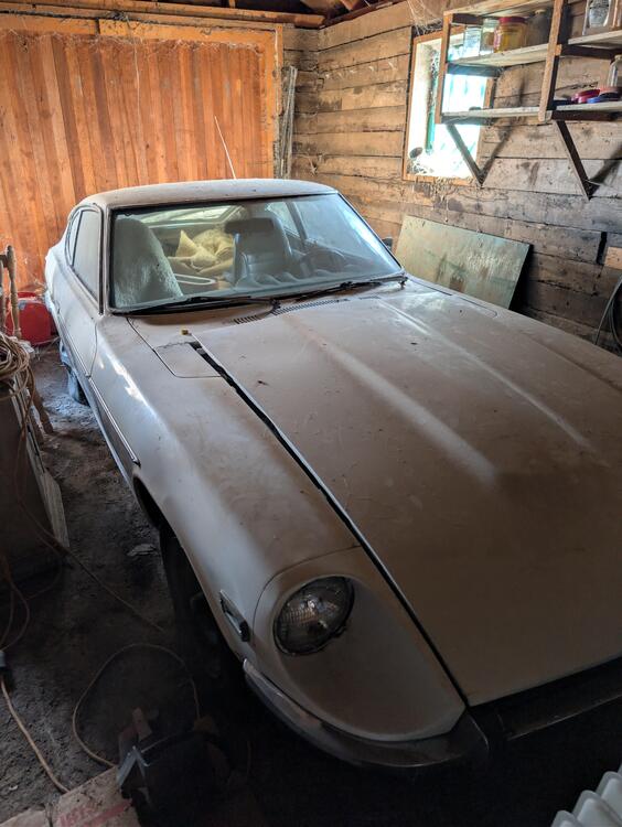 Car - TM-JM CA 530FXO 1972 Datsun 240Z hood and passenger side.jpg