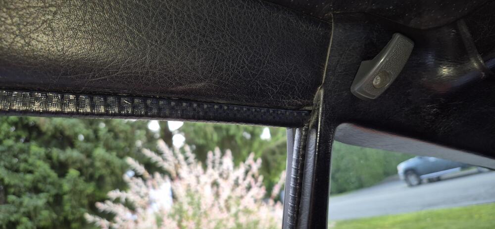 20260523_093110.jpg